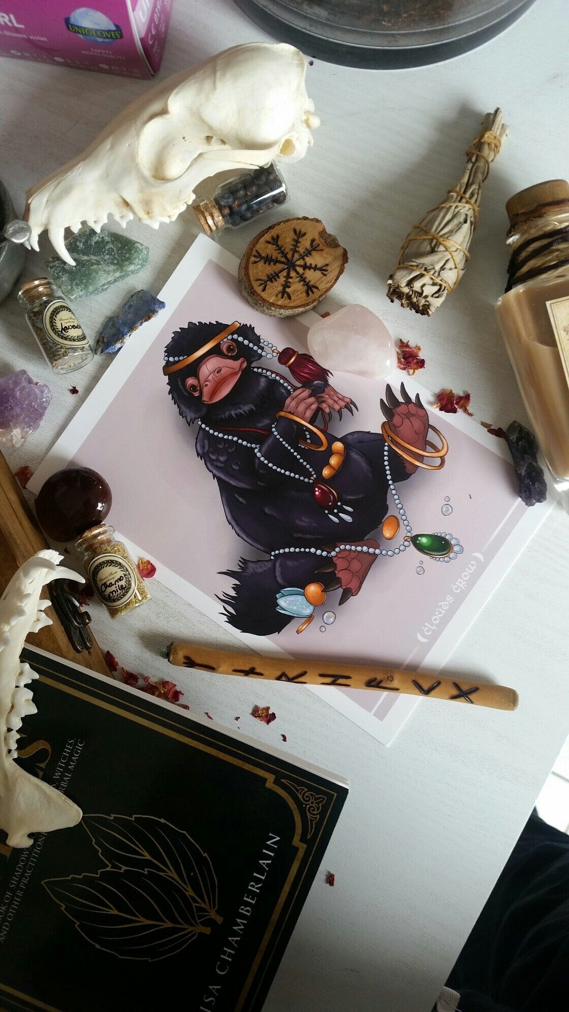 The Fantastic Beasts Print