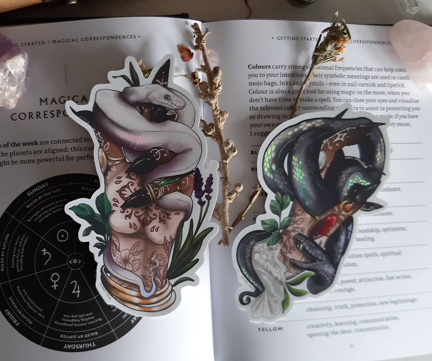 Witch familiar snake holographic sticker