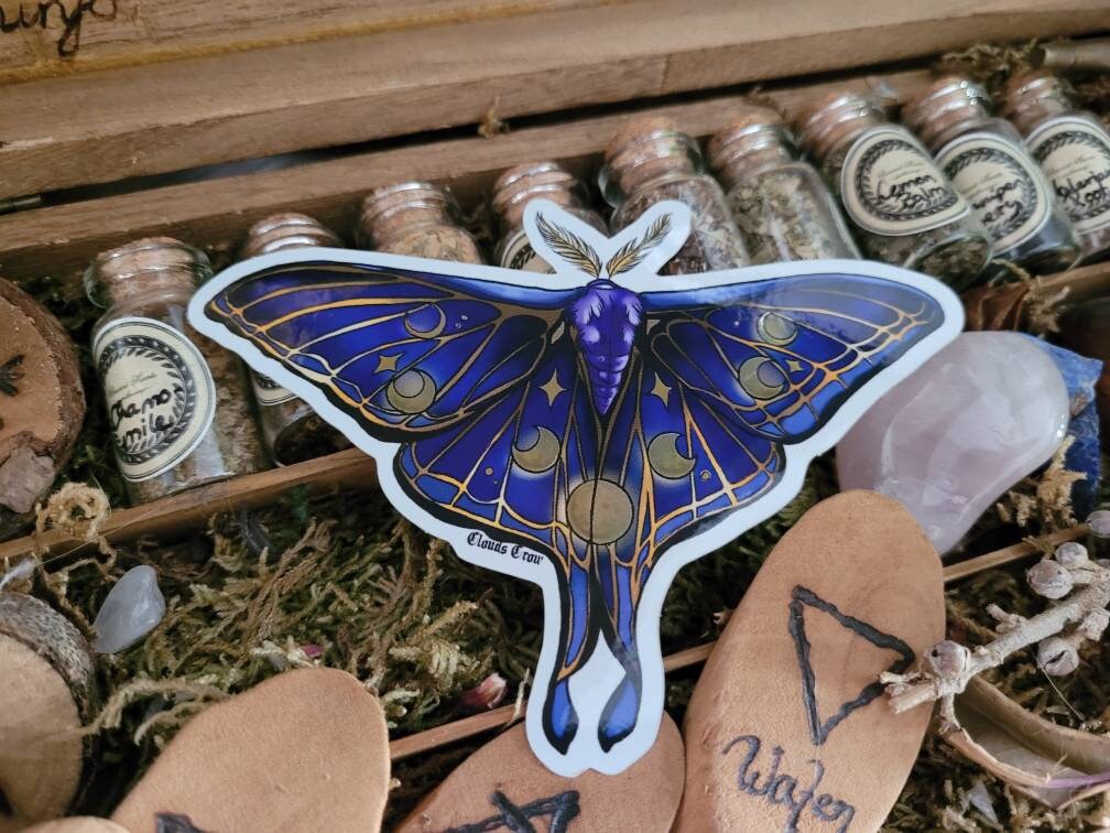 Nocturnal moth sticker holographic