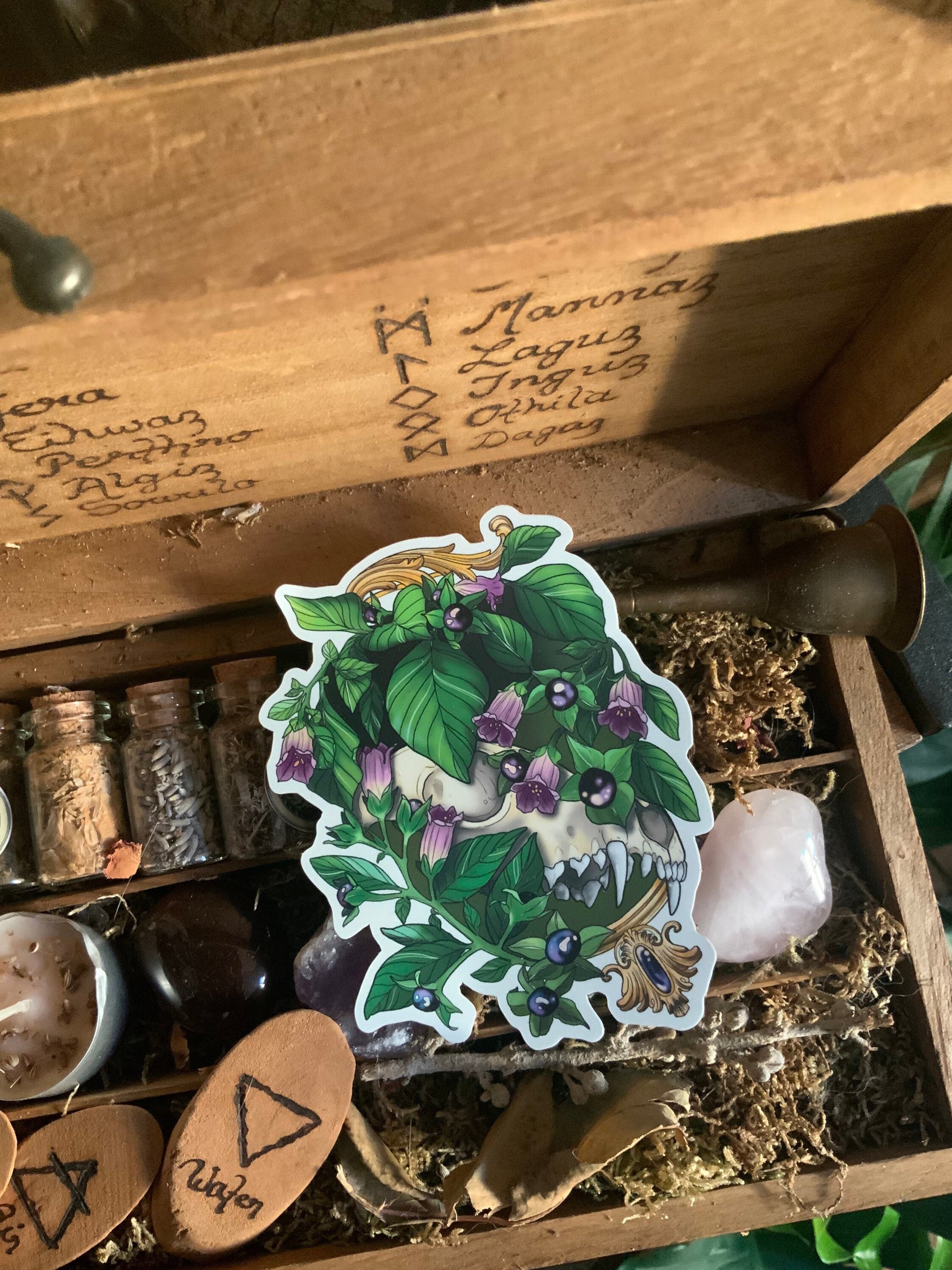Nature witch's frame matte holo sticker